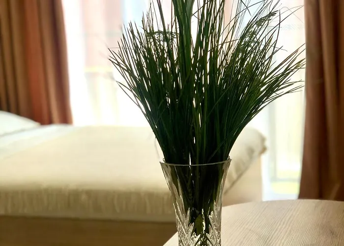 Osapart In A Complex Semycvit 5 *